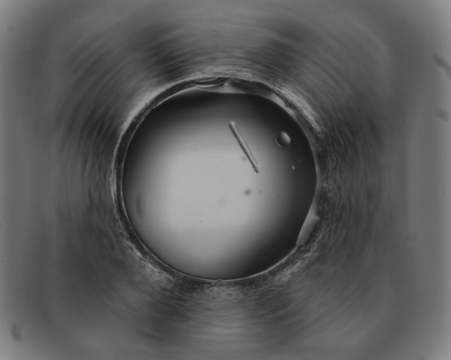 X0000091310888200708311354