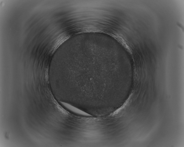 X0000091310889200708311354