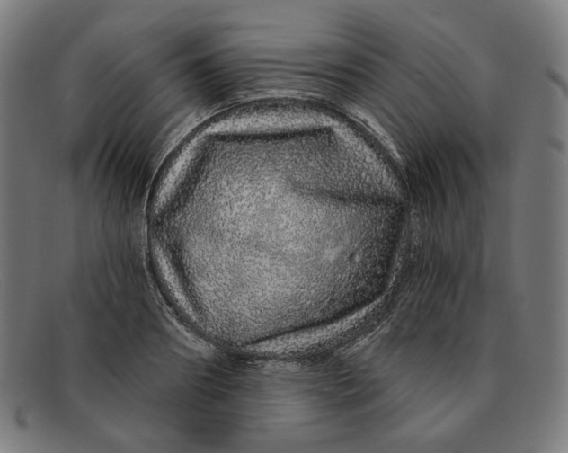 X0000091310890200708311354