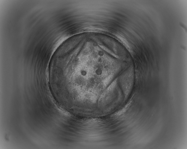 X0000091310891200708311354