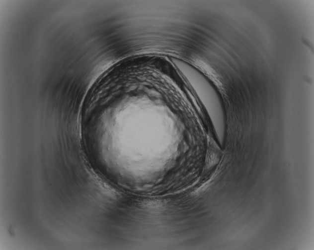 X0000091310892200708311354