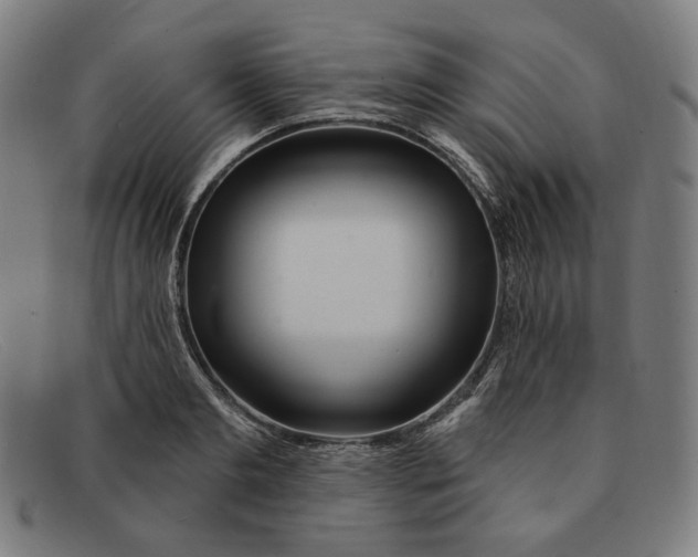 X0000091310893200708311354