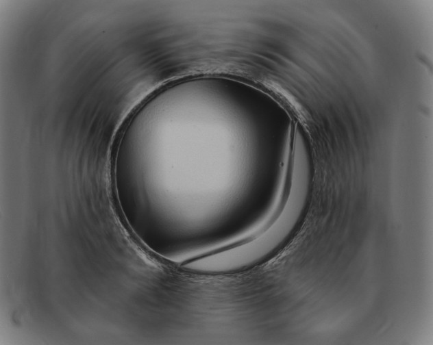 X0000091310894200708311354