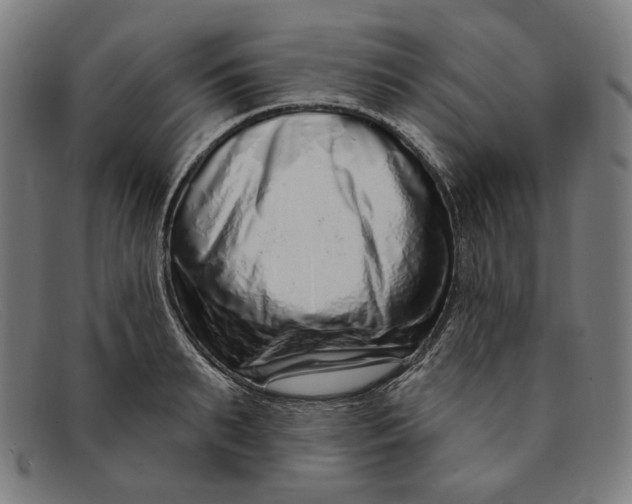 X0000091310895200708311354