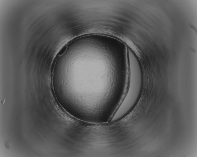 X0000091310896200708311354