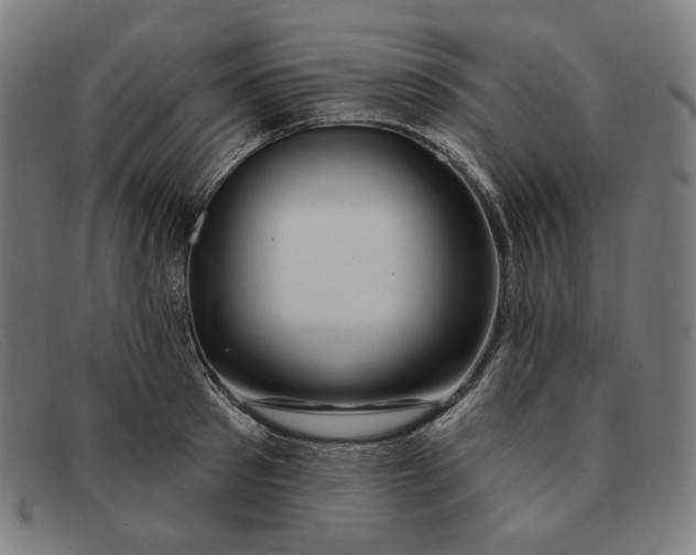 X0000091310897200708311354