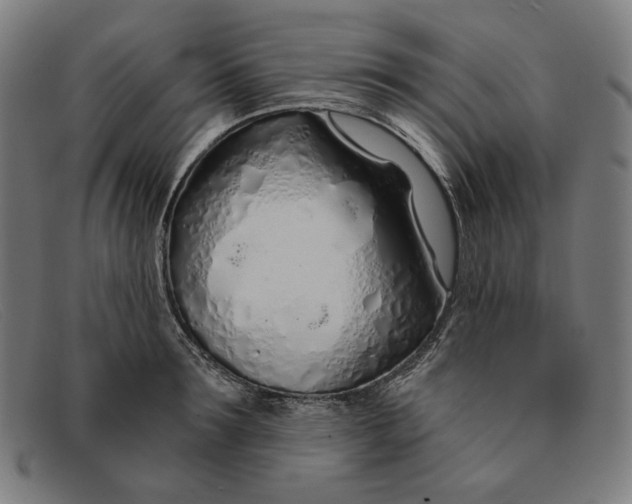 X0000091310899200708311354