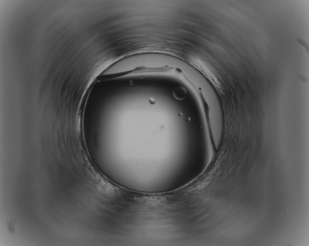 X0000091310900200708311354