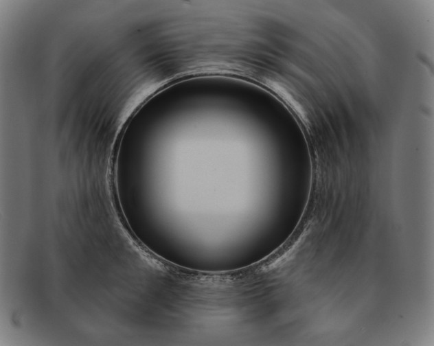 X0000091310901200708311354