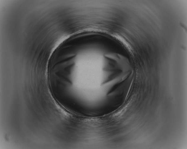 X0000091310902200708311354