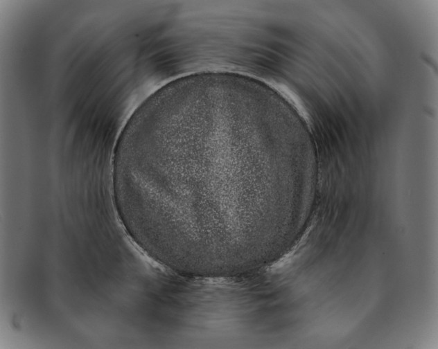 X0000091310903200708311354