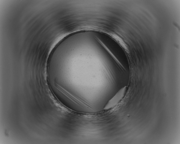 X0000091310904200708311354