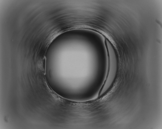 X0000091310905200708311354