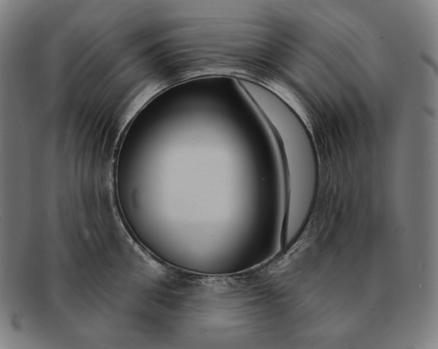 X0000091310906200708311354