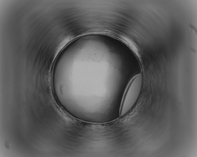 X0000091310907200708311354