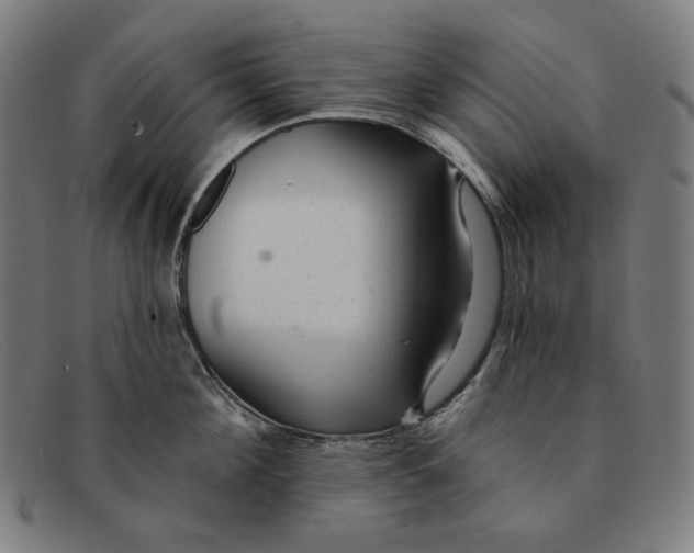 X0000091310908200708311354