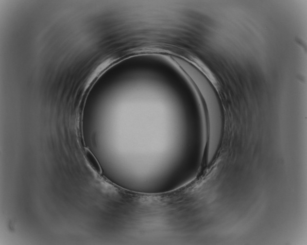 X0000091310909200708311354