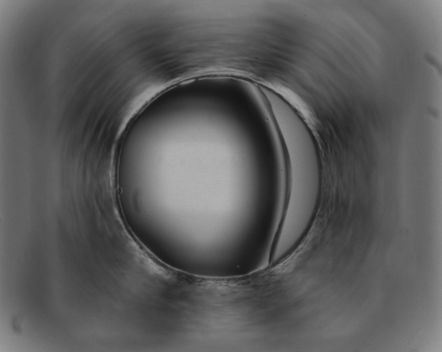 X0000091310910200708311354