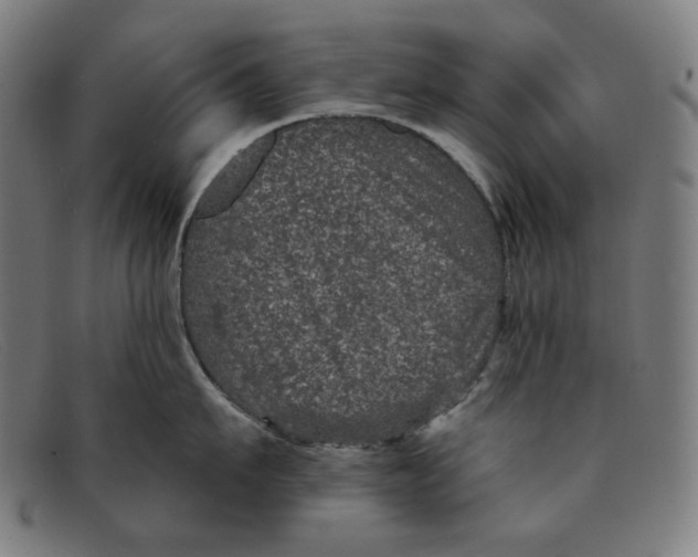 X0000091310911200708311354