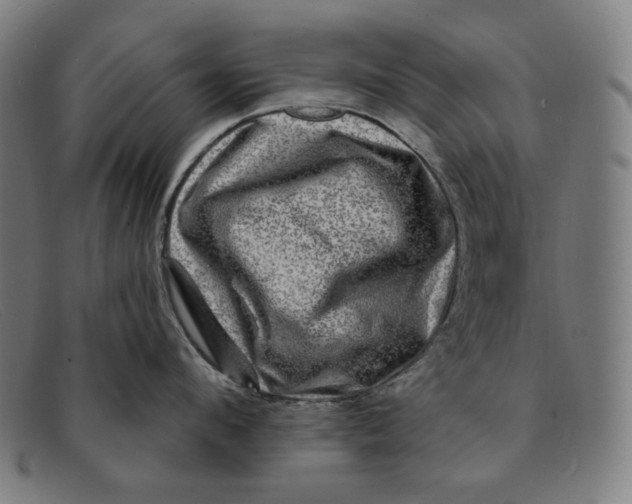 X0000091310912200708311354