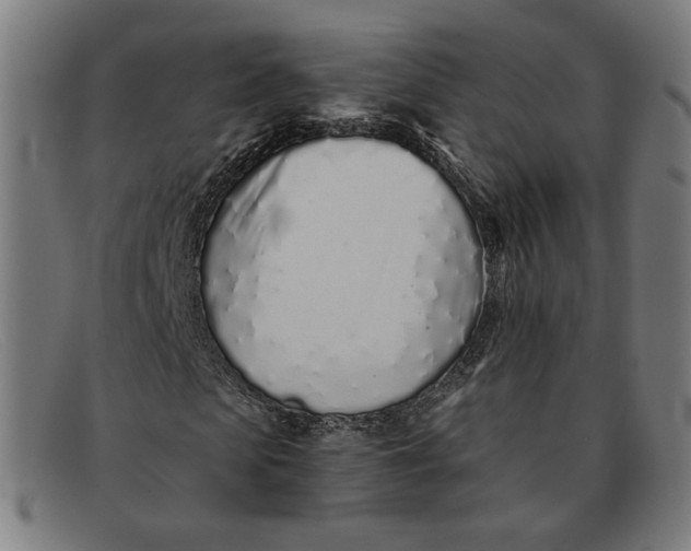 X0000091310913200708311353