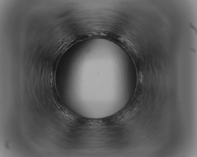 X0000091310915200708311353