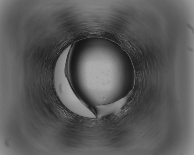 X0000091310916200708311353