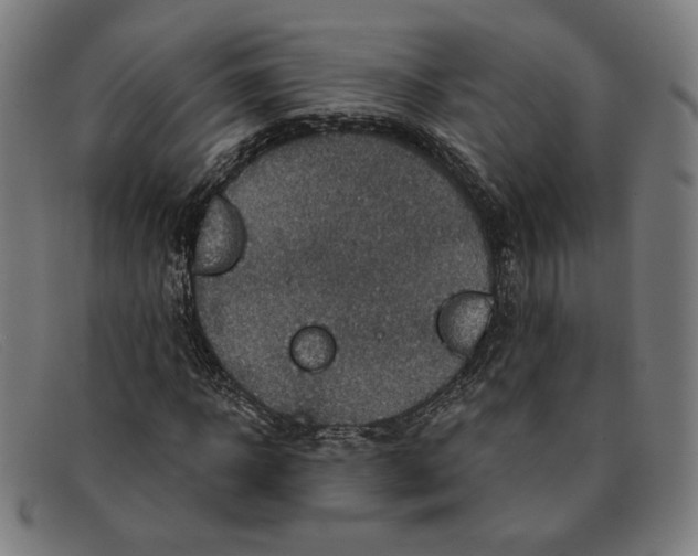 X0000091310918200708311353