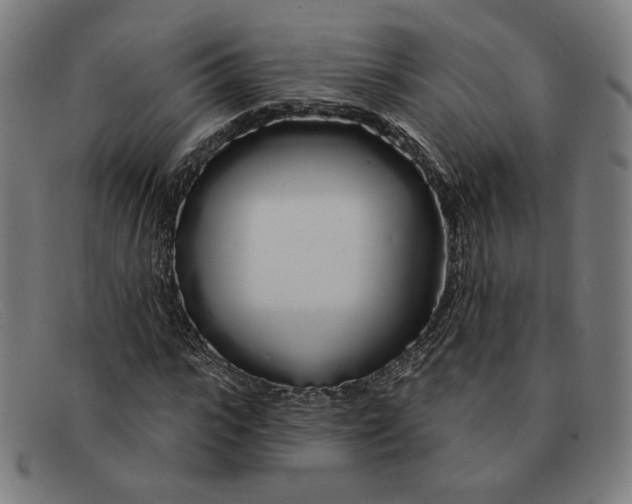 X0000091310919200708311353