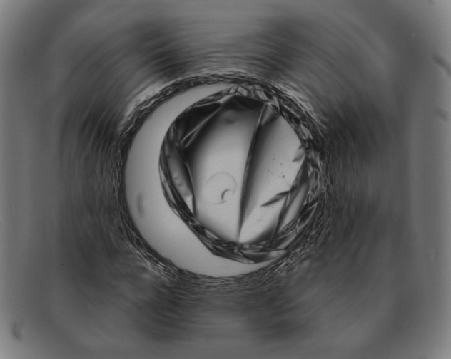 X0000091310920200708311353