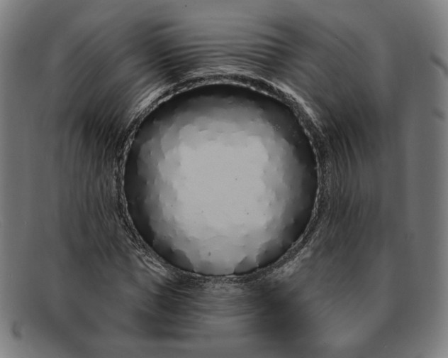 X0000091310921200708311353