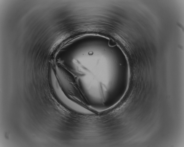 X0000091310922200708311353