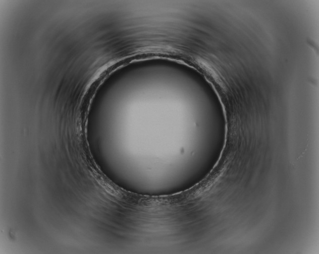 X0000091310923200708311353