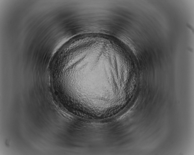 X0000091310925200708311353