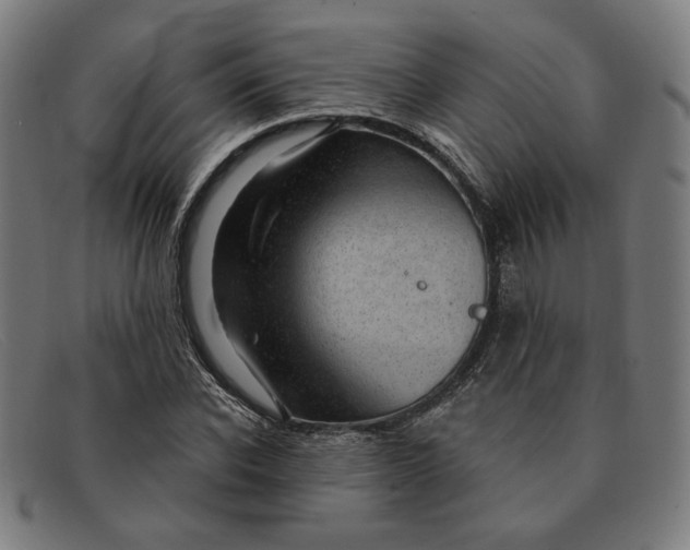 X0000091310926200708311353