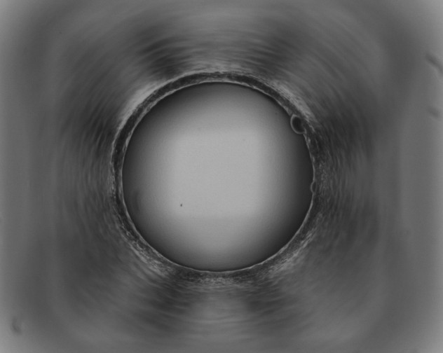 X0000091310927200708311353