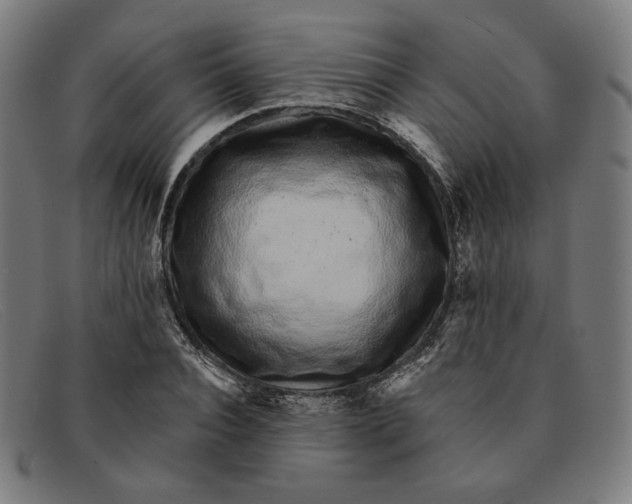 X0000091310928200708311353