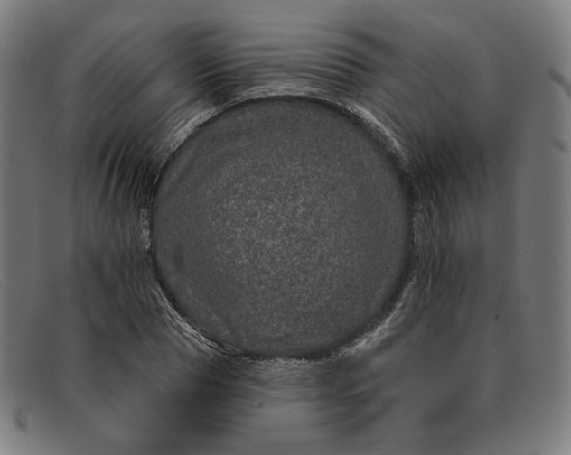 X0000091310929200708311353