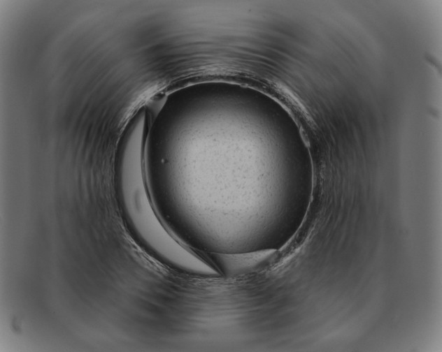 X0000091310930200708311353