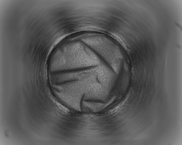 X0000091310931200708311353