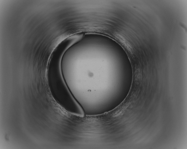 X0000091310932200708311354