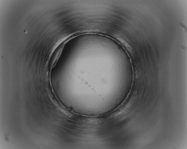 X0000091310933200708311354