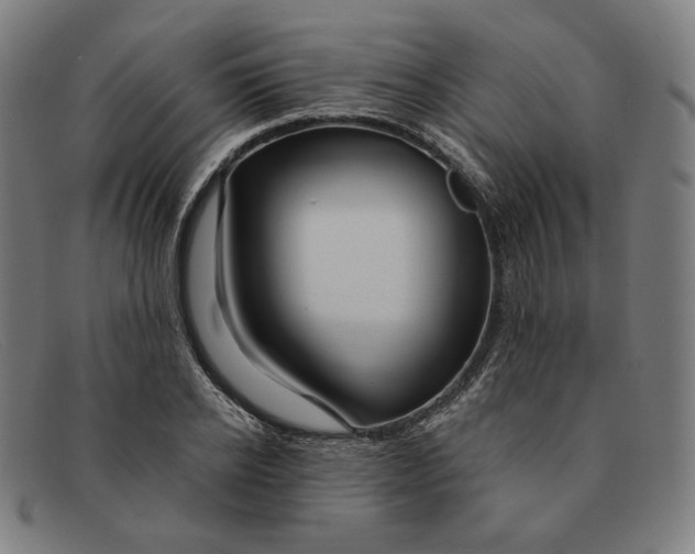 X0000091310934200708311354