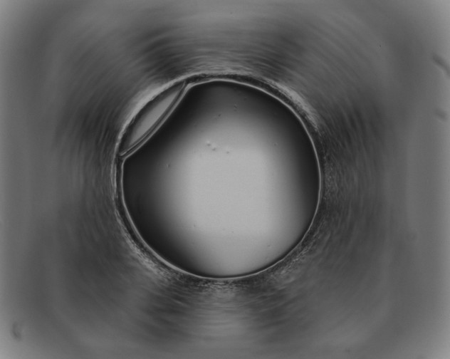 X0000091310935200708311354