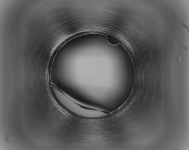 X0000091310936200708311354