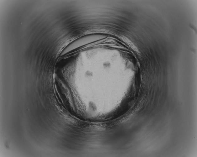 X0000091310937200708311354