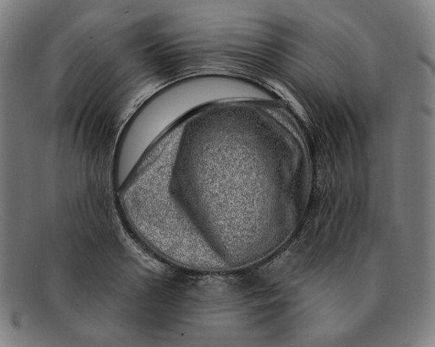 X0000091310938200708311354