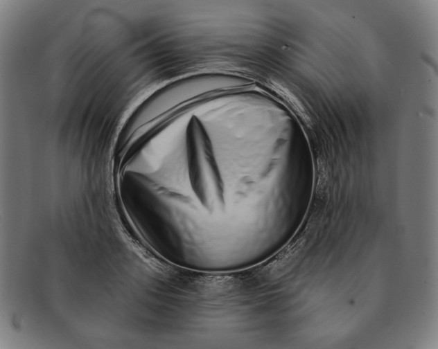 X0000091310939200708311354