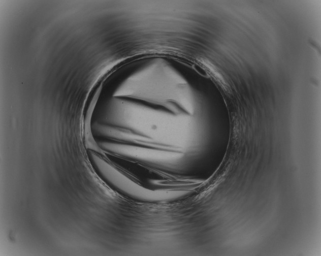 X0000091310940200708311354