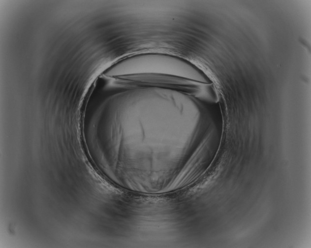 X0000091310941200708311354